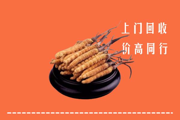 廉江市高价冬虫夏草回收多少钱每克