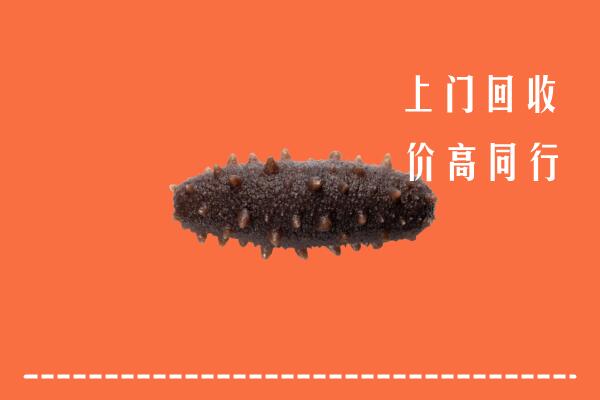 廉江市高价回收海参