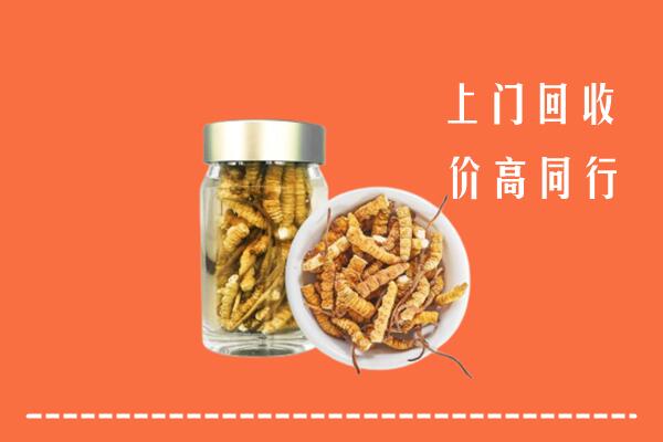 廉江市回收冬虫夏草